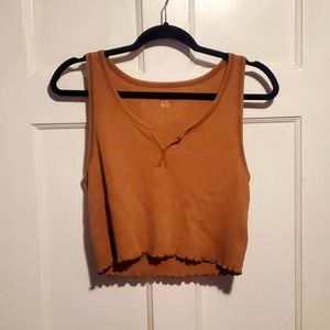 American eagle brown crop top